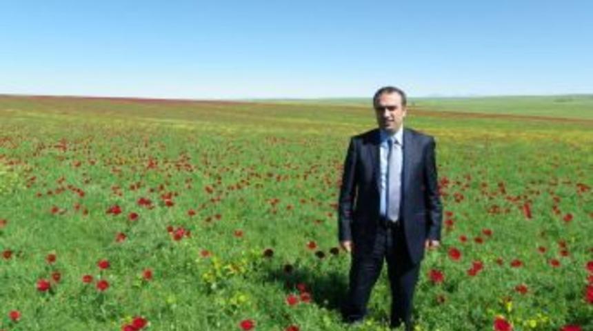 AK Partili İ&ccedil;ten&rsquo;den BDP&rsquo;ye: Nevruz bayramsa neden ara&ccedil;ları yakıyorsun?