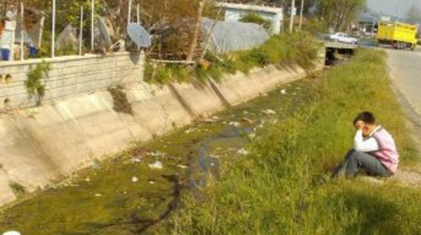 Su ve &ccedil;evre kirliliği artıyor