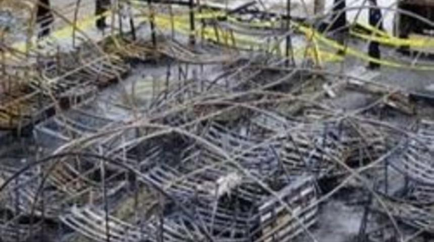 11 canın hesabı verilmeli