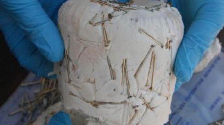 Van'da nevruz kutlamasında olaylar &ccedil;ıktı