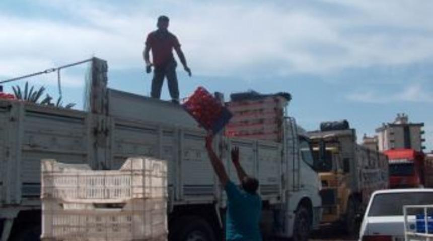 Kırmızı altın para etmiyor!