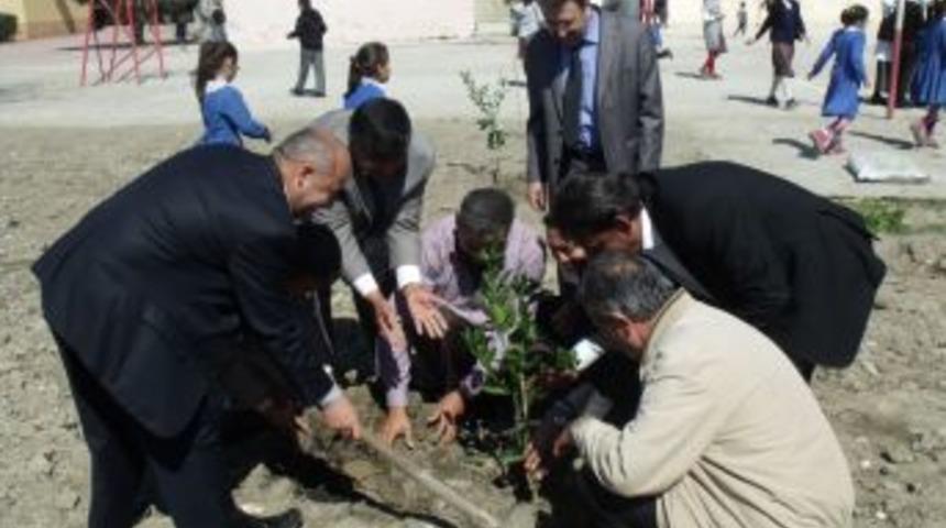 Beymelek Belediyesi okul bah&ccedil;esine fidan dikti