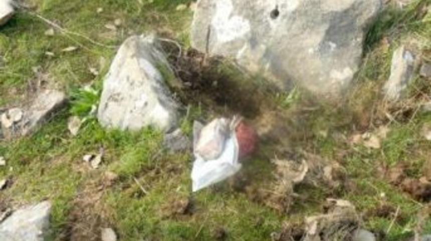 Hakkari&rsquo;de bulunan antitank mayınları imha edildi