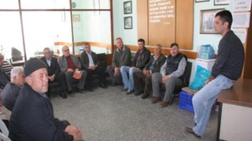 &Uuml;reticiye zeytin budama, hastalık ve zararlılarıyla ilgili kurs verildi