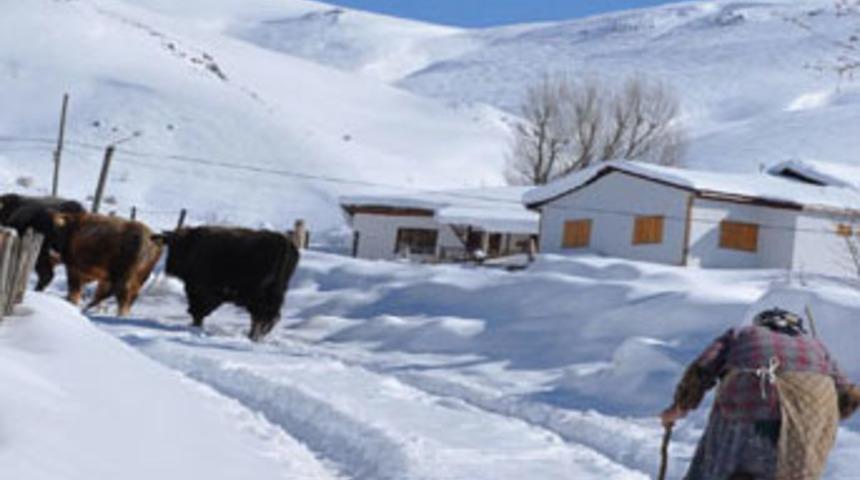 Çatıdan düşen kar can aldı