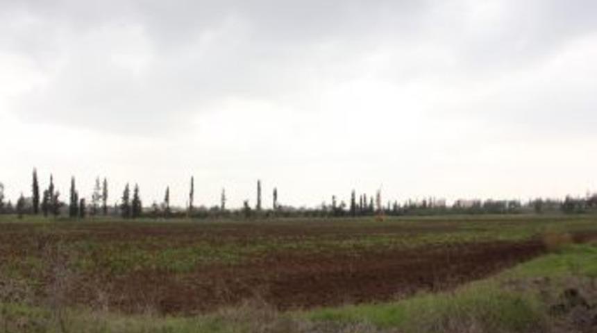 &Uuml;niversitenin gen merkezini paylaşamıyorlar