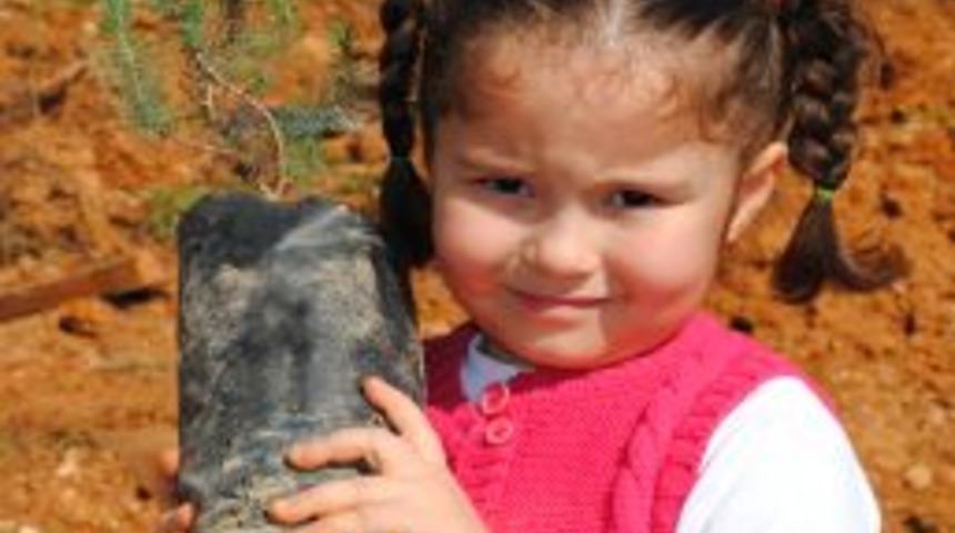 Bahar Bayramı'nda Manavgat'a 2 bin fidan dikildi