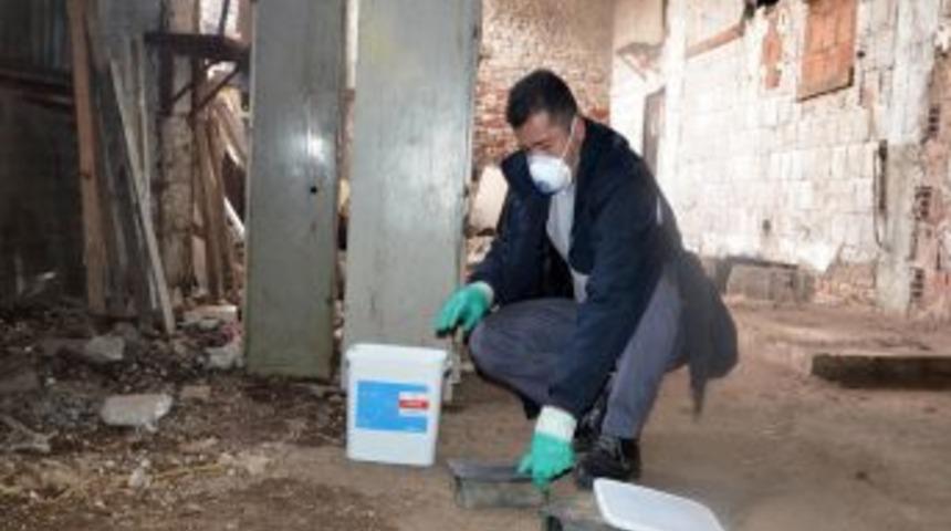 Kent merkezindeki tabakhanelerde fare temizliği s&uuml;r&uuml;yor