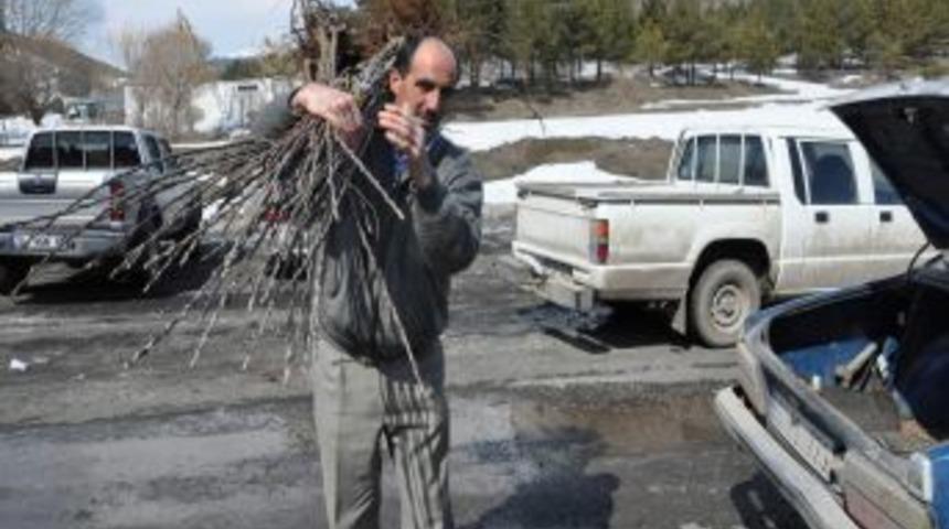 Yozgat&rsquo;ta &ccedil;ift&ccedil;iye 21 bin 650 meyve fidanı dağıtıldı