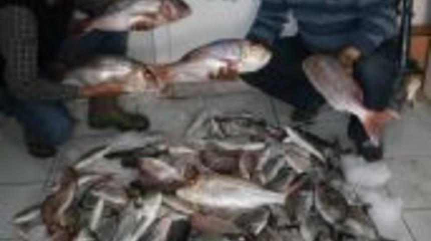 G&uuml;ll&uuml;k'te bahar bereketi