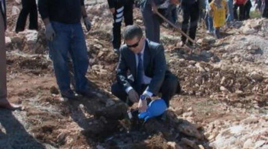 Yeşil Malatya İ&ccedil;in Fidan Dikme T&ouml;reni