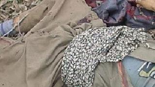 Siirt'te 2 terörist öldürüldü