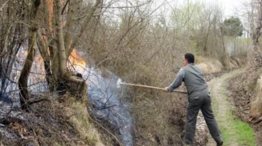 Sakarya'da 200 D&ouml;n&uuml;m Tarım Arazisi K&uuml;l Oldu