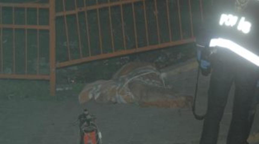 Karısının cesedini sokakta bebek arabasıyla taşıdı