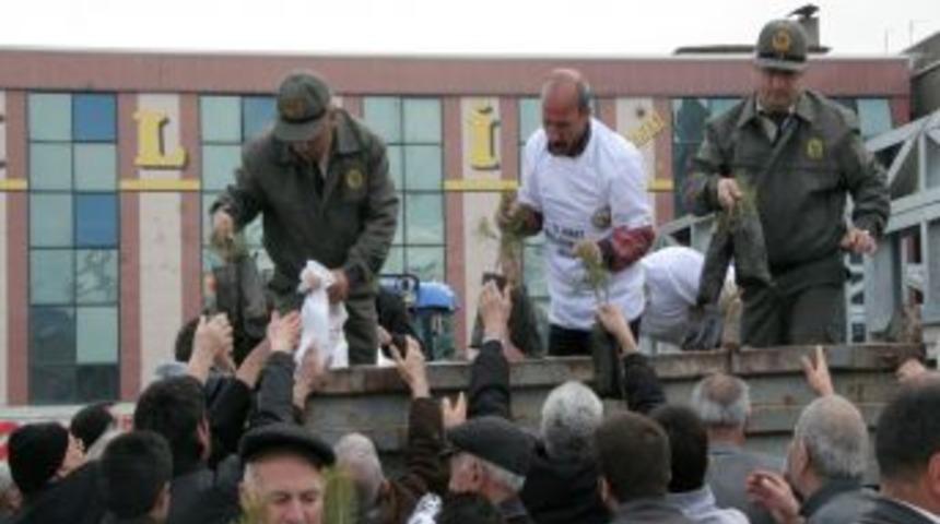 &Uuml;cretsiz dağıtılan &ccedil;am fidanları kapış kapış gitti