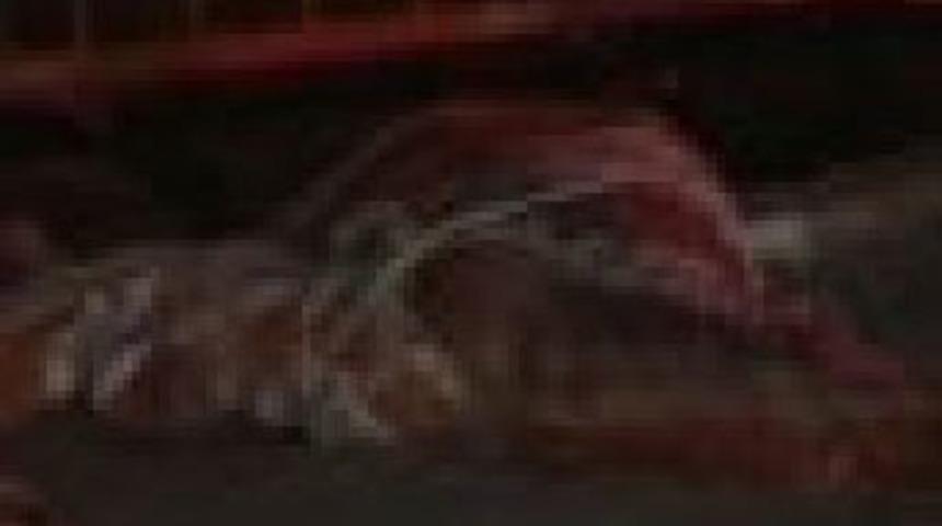 Eşinin cesedini bebek arabasıyla taşıdı