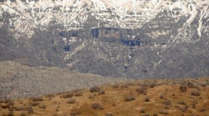 Cudi Dağı&rsquo;nda geniş &ccedil;aplı operasyon başlatıldı