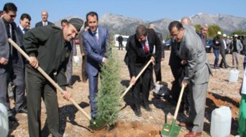 Muğla&rsquo;da dokuz yılda 29 milyon fidan dikildi