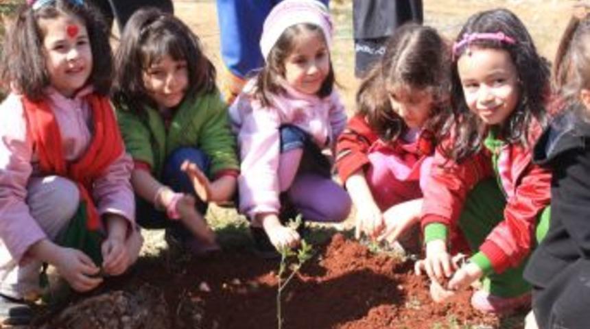 Minik eller, geleceklerine yatırım yapıp fidan dikti