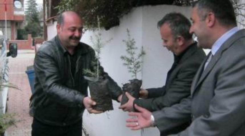 Erbaa'da 13 bin fidan toprakla buluşacak