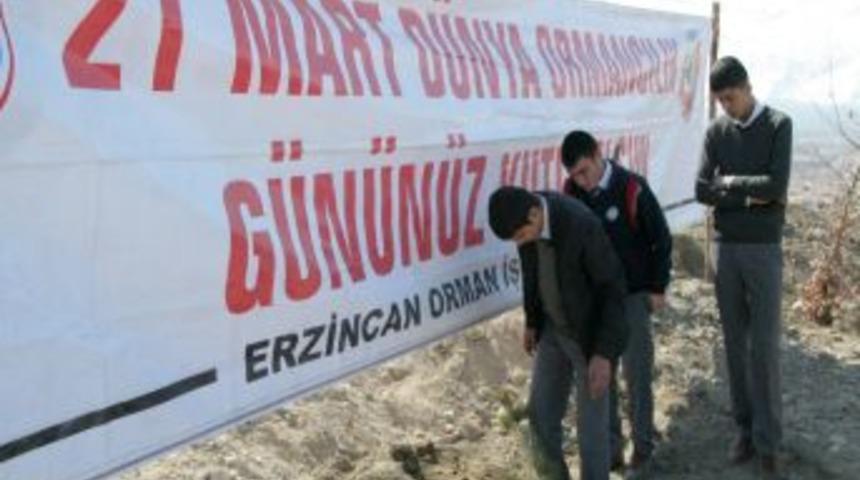 Yeşil bir doğa i&ccedil;in fidanlar toprakla buluşuyor