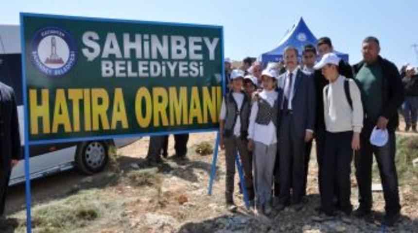 Şahinbey Belediyesi 3 yılda 102 bin fidanı toprakla buluşturdu