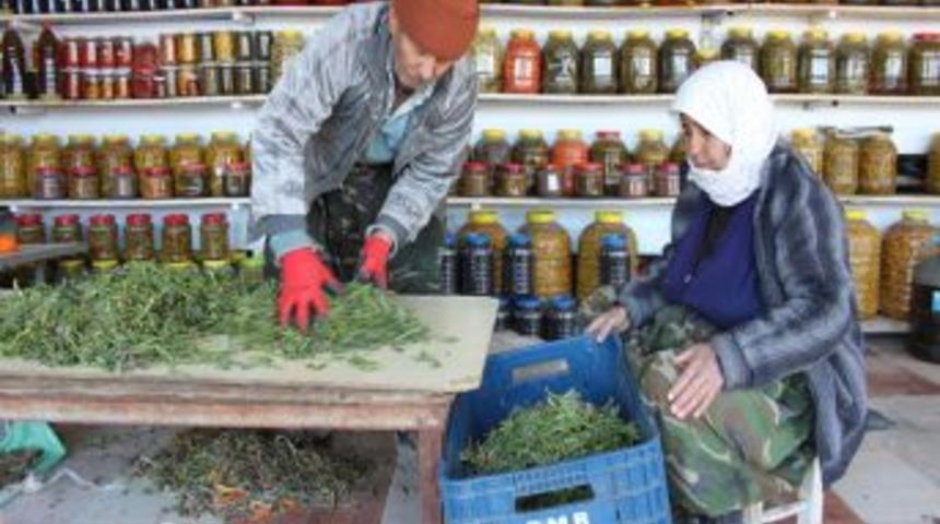 Kayakoruğu, yeni gelir kapısı oldu