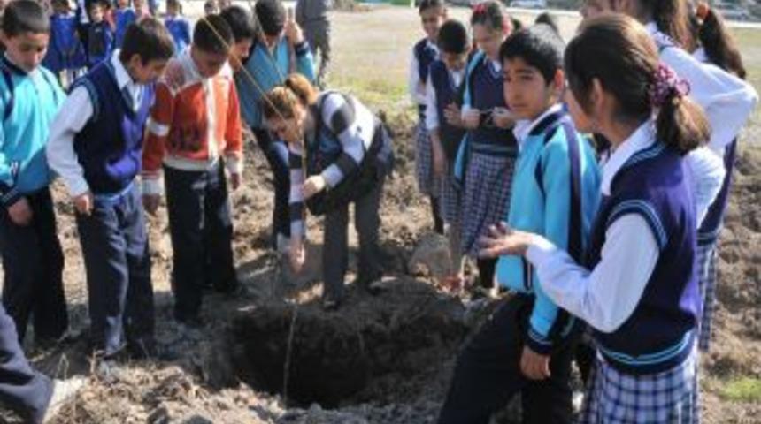 Denizli&rsquo;de okul bah&ccedil;eleri ağa&ccedil;landırılıyor