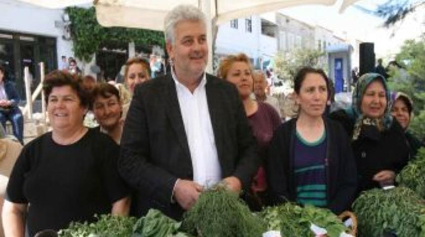 Ala&ccedil;atı&rsquo;da organik otlarla yapılan 30 yemek yarışacak