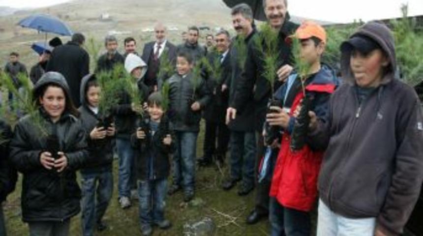 En temiz pancarı getiren k&ouml;y fidanla &ouml;d&uuml;llendirildi