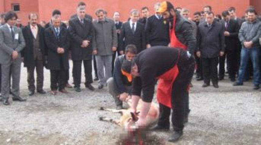 Muş'ta Polis Haftası Etkinlikleri