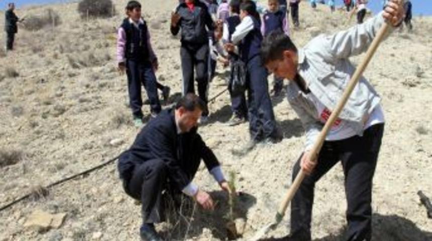 Polis Hatıra Ormanına Fidan Dikildi