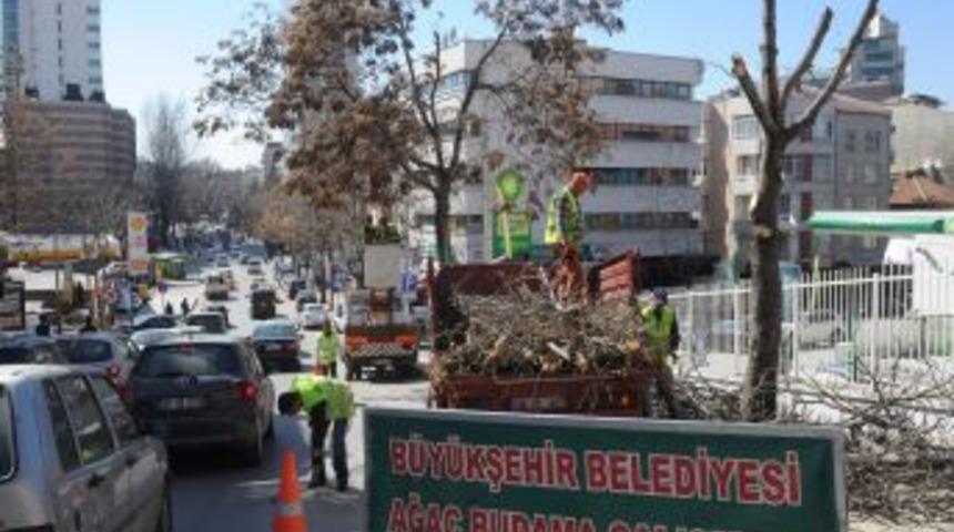 Ankara caddelerinde ağa&ccedil; budama &ccedil;alışmaları devam ediyor