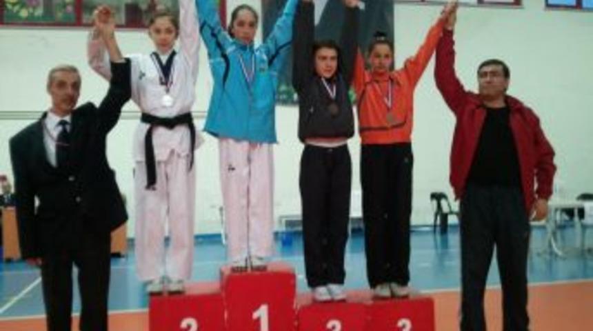 Tekvando T&uuml;rkiye Şampiyonası&rsquo;nda Ankara'yı Mamak temsil edecek