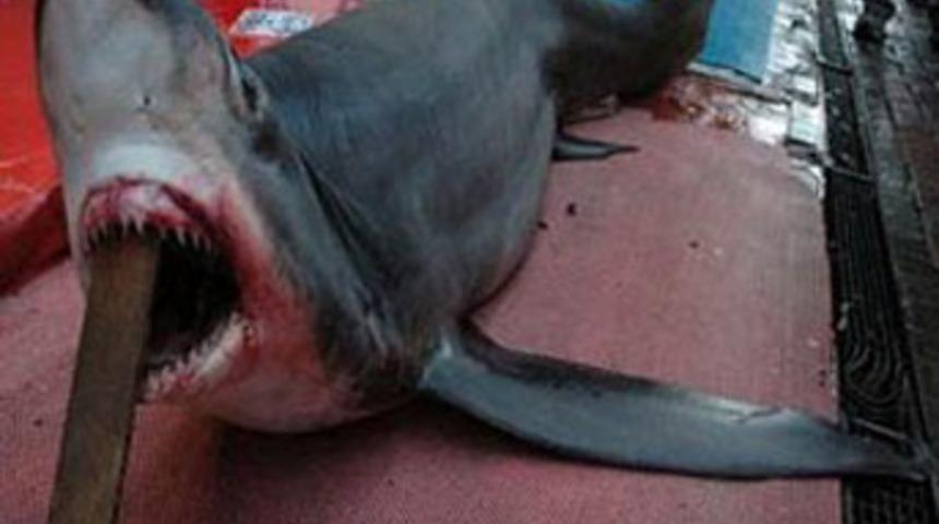 Onunla fotoğraf &ccedil;ektirmek 1 lira!