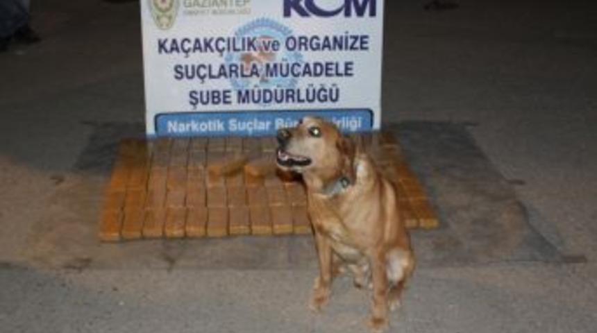 Kokmasın diye &uuml;zerine T&uuml;rk kahvesi d&ouml;kt&uuml;ğ&uuml; 42 kilo eroinle yakalandı