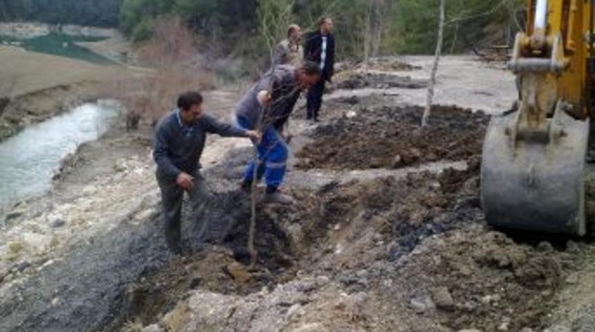 Dağılcak ağa&ccedil;landırılıyor