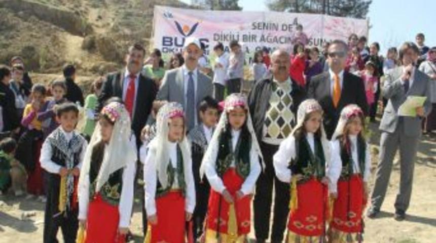 Burç öğrencilerinin de bir dikili ağacı oldu