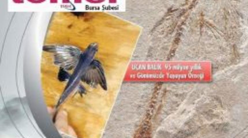 Evrim Teorisini &Ccedil;&uuml;r&uuml;ten Sergi