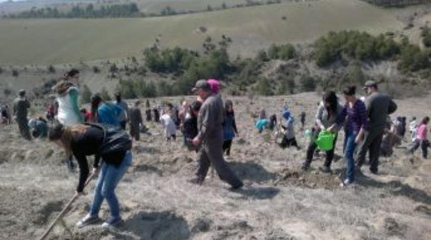 Z&uuml;mr&uuml;t Hanımlar Derneği'nden 'Yeşil Karab&uuml;k Projesi'