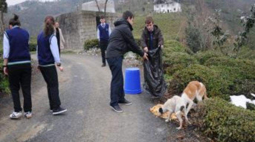 Liseliler, sokak k&ouml;pekleri i&ccedil;in yemek artıklarını topluyor