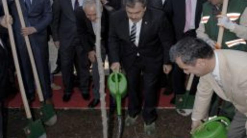 Bakan Eroğlu, 10 bin erguvan fidanı dağıttı