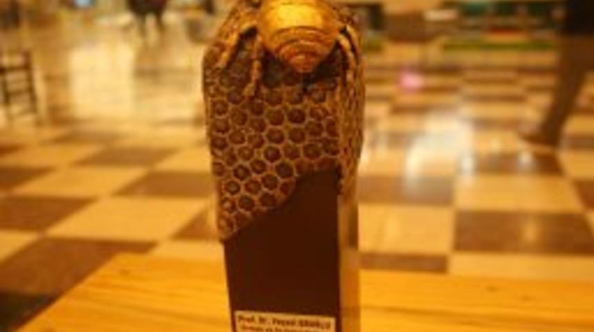 Altın arı &ouml;d&uuml;l&uuml; M1'de sergileniyor