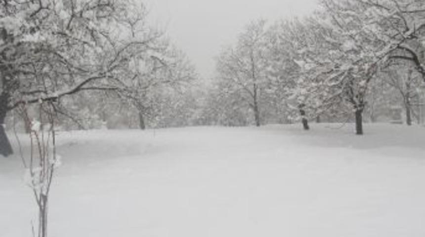 Adilcevazlılar baharı beklerken yağan kara şaşırdı
