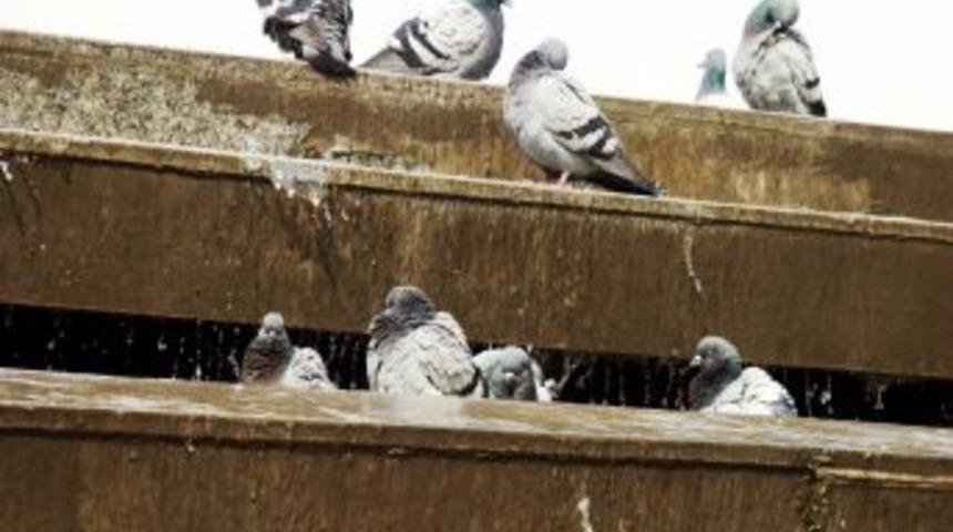 Şam B&uuml;y&uuml;kel&ccedil;iliği Personeli Mersin'de