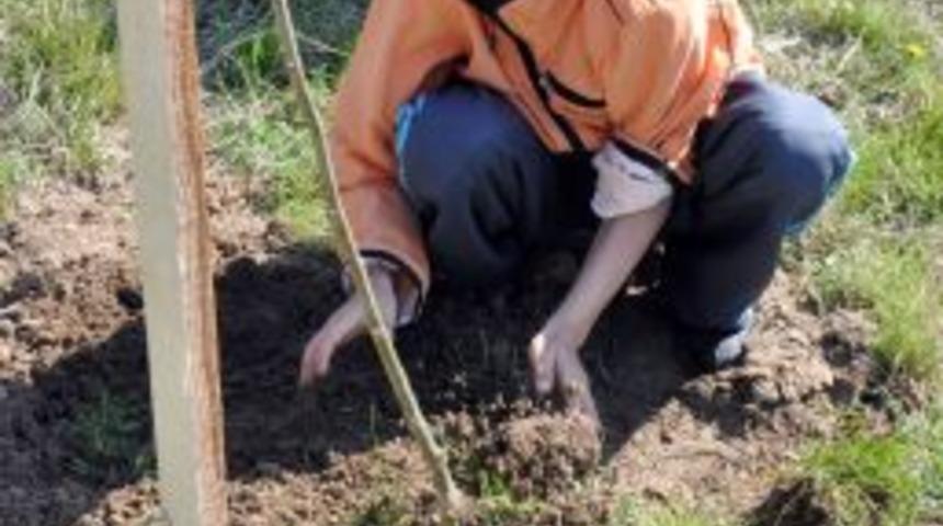 "Osmanlı d&ouml;neminde Anadolu'nun her yeri ormanla kaplıydı"