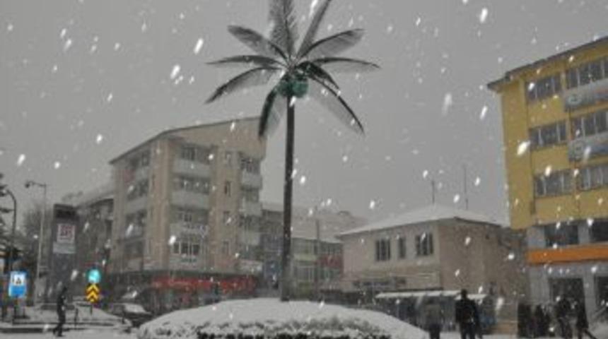 Bitlis'e kışın yağan karın kalınlığı 11 metreyi ge&ccedil;ti