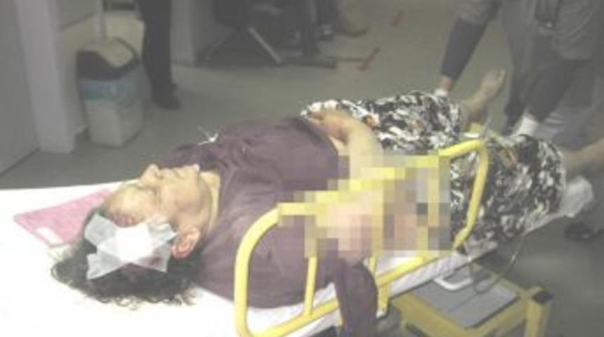 Saltukova Parkına 200 Adet Fidan Dikilecek