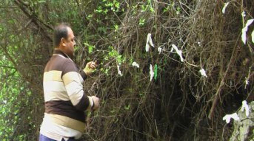 Kuşadası'ndaki Zeus Mağarası ziyaret&ccedil;i akınına uğruyor