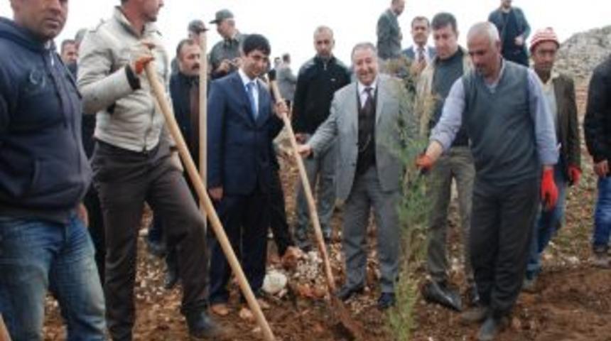Adıyamanlı gazeteciler 200 fidanı toprakla buluşturdu